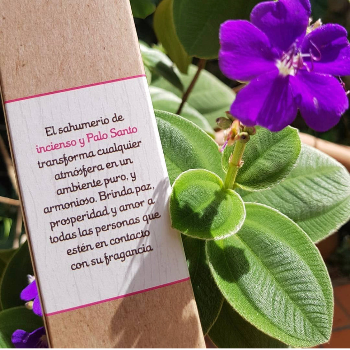 *Palo Santo con Incenso* Incenso Naturale 100% Sostenibile ed Ecologico Sagrada Madre
