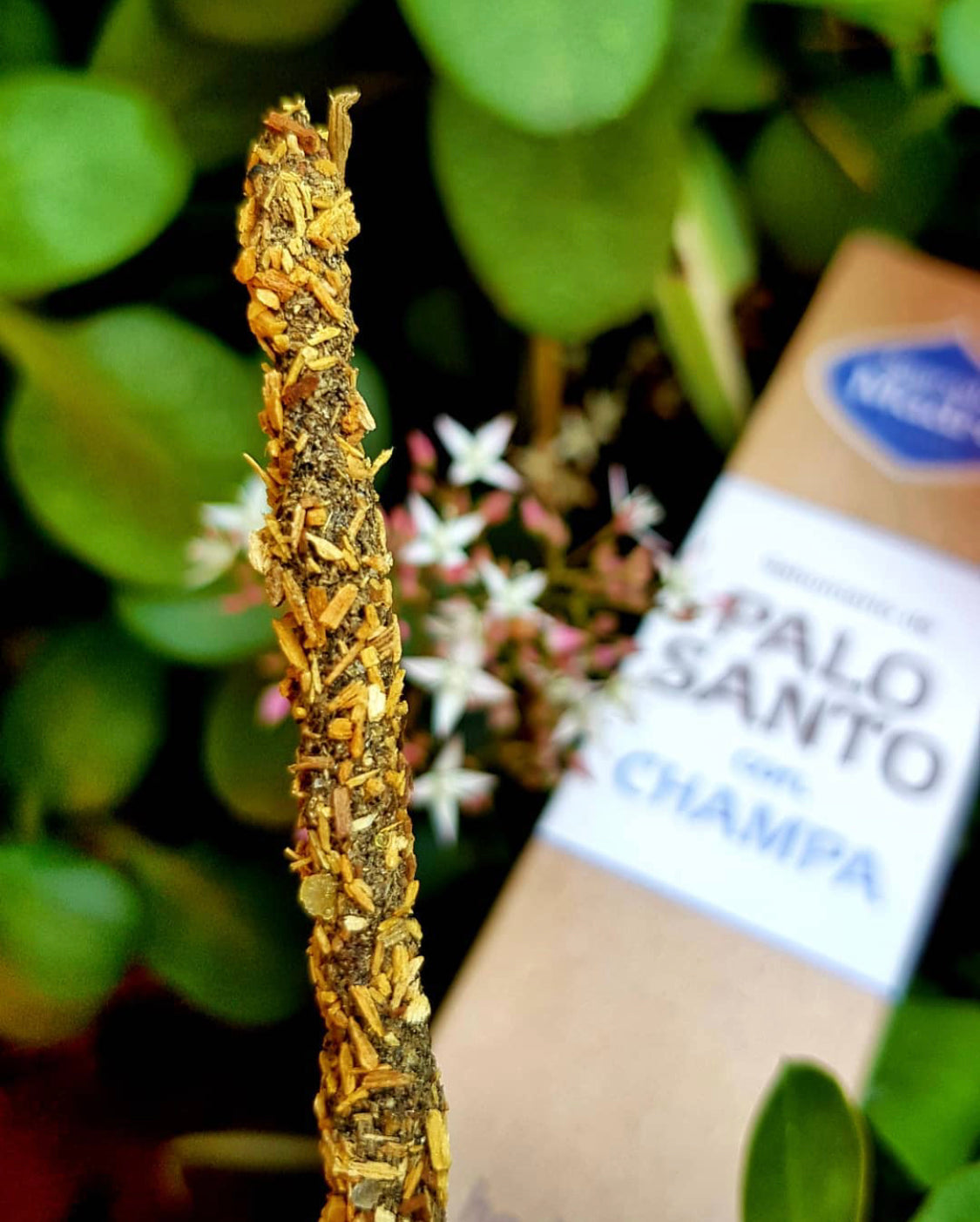 *Palo Santo con Champa* Incenso Naturale 100% Sostenibile ed Ecologico Sagrada Madre